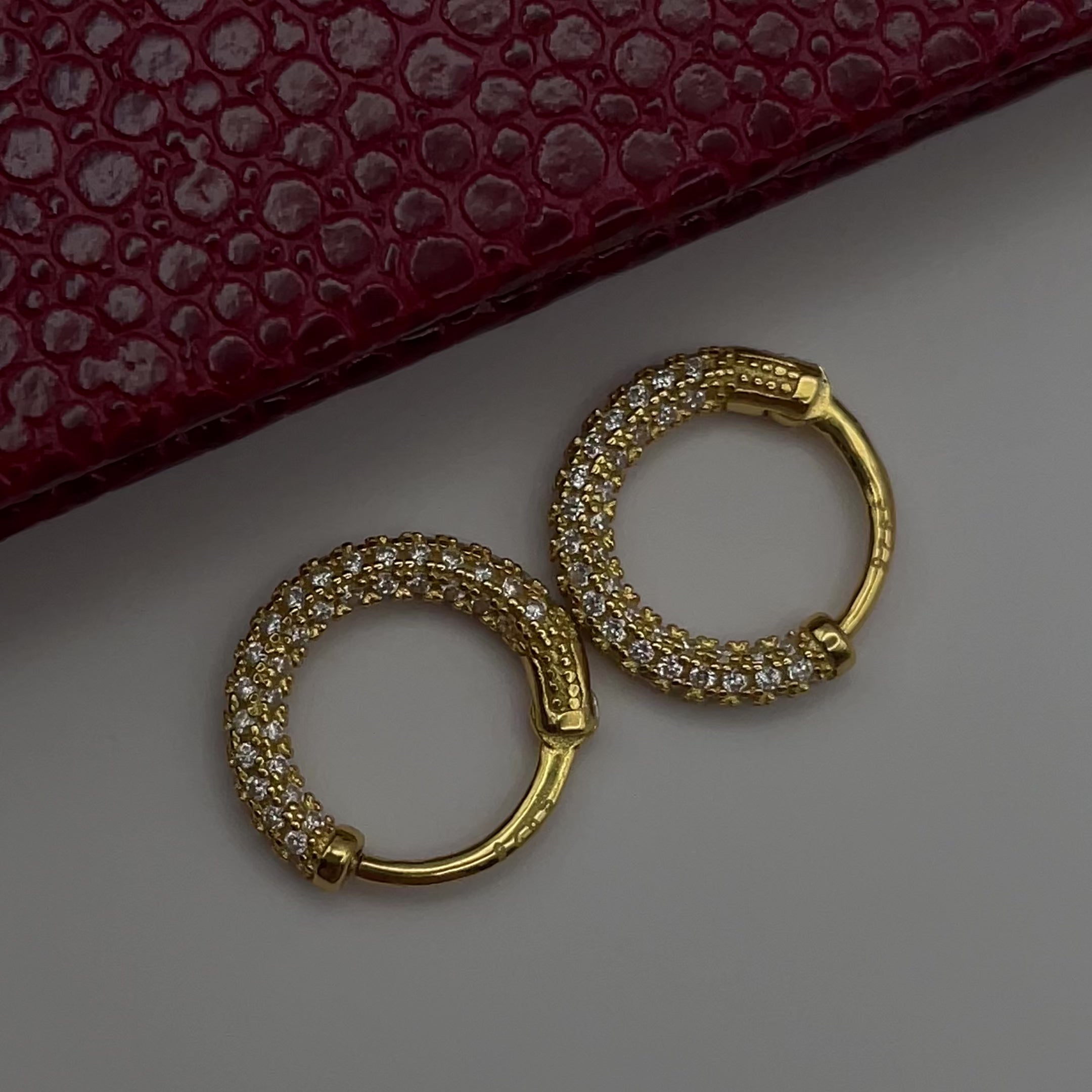 Sylvie Hoop Earrings